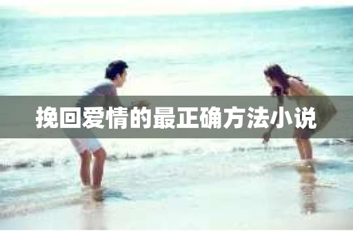 挽回爱情的最正确方法小说