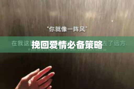 挽回爱情必备策略