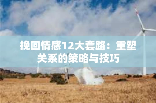 挽回情感12大套路：重塑关系的策略与技巧