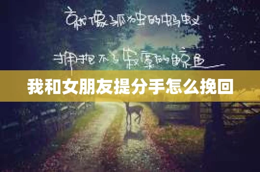 我和女朋友提分手怎么挽回
