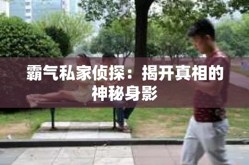 霸气私家侦探：揭开真相的神秘身影