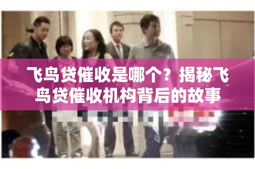 飞鸟贷催收是哪个？揭秘飞鸟贷催收机构背后的故事