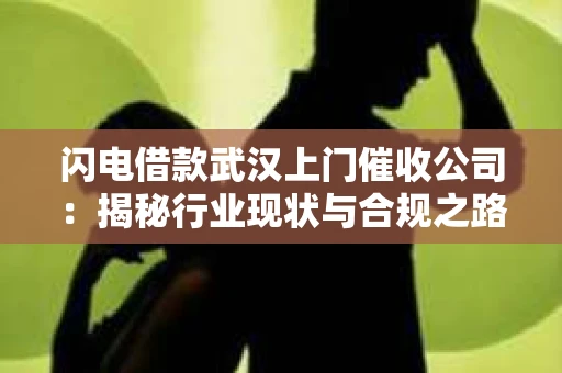 闪电借款武汉上门催收公司：揭秘行业现状与合规之路