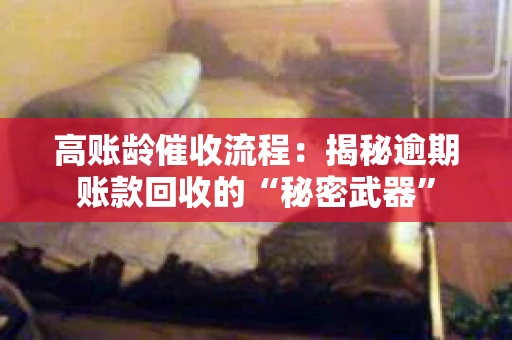高账龄催收流程：揭秘逾期账款回收的“秘密武器”
