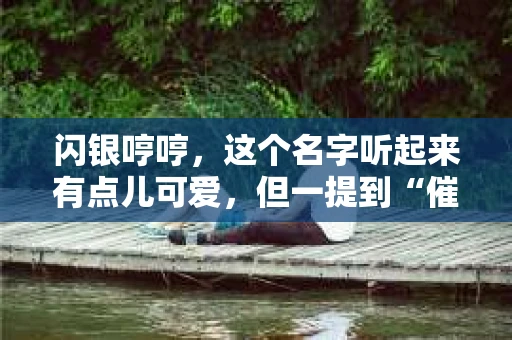 闪银哼哼，这个名字听起来有点儿可爱，但一提到“催收”，气氛就变得严肃起来。今天，我们就来聊聊这个话题，揭开“闪银哼哼催收”的神秘面纱。