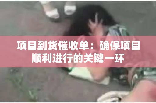 项目到货催收单：确保项目顺利进行的关键一环