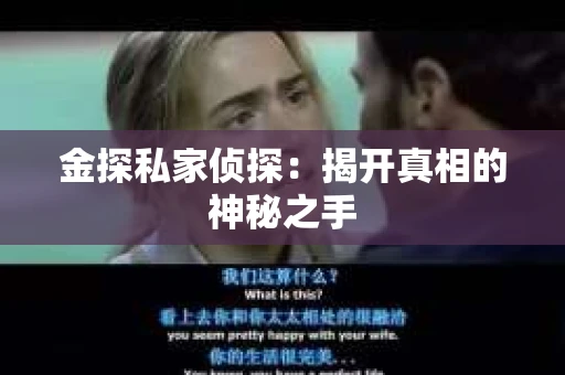金探私家侦探：揭开真相的神秘之手