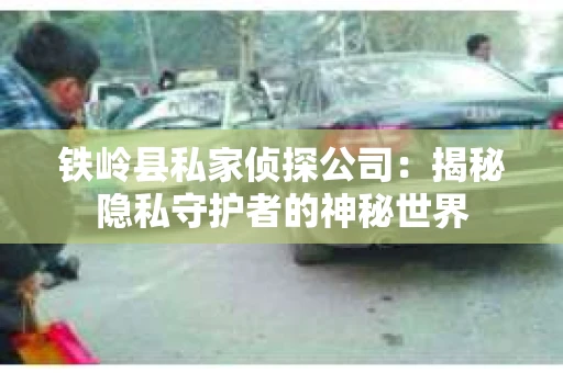 铁岭县私家侦探公司：揭秘隐私守护者的神秘世界