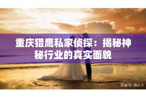 重庆猎鹰私家侦探：揭秘神秘行业的真实面貌