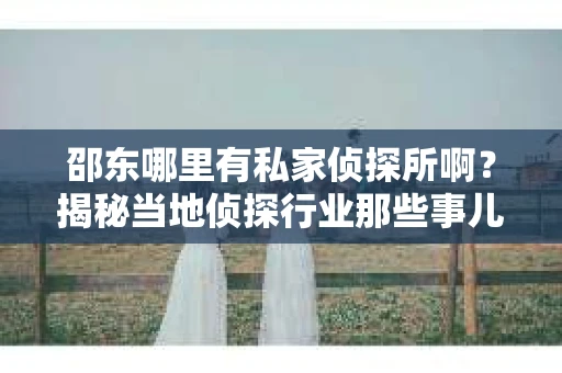 邵东哪里有私家侦探所啊？揭秘当地侦探行业那些事儿