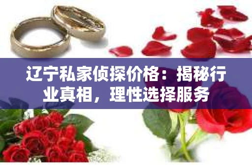 辽宁私家侦探价格：揭秘行业真相，理性选择服务