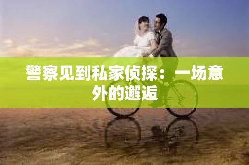警察见到私家侦探：一场意外的邂逅