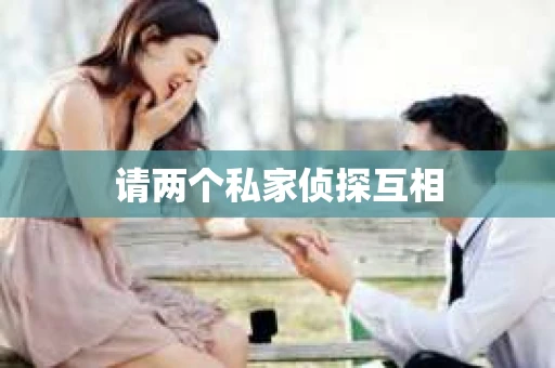 请两个私家侦探互相