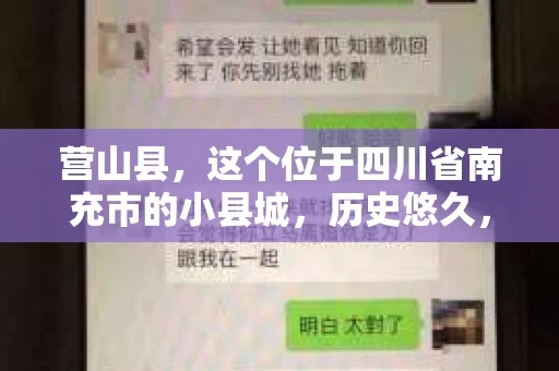 营山县，这个位于四川省南充市的小县城，历史悠久，风景秀丽。但在这个宁静的小县城里，你是否会好奇，有没有私家侦探的存在呢？今天，我就来和大家聊聊这个话题。