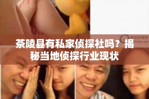 茶陵县有私家侦探社吗？揭秘当地侦探行业现状