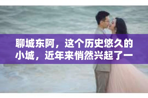 聊城东阿，这个历史悠久的小城，近年来悄然兴起了一股新的服务潮流——私家侦探。今天，我们就来聊聊这个话题，看看在聊城东阿，私家侦探是如何成为人们生活中的一部分的。