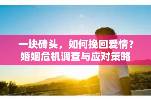 一块砖头，如何挽回爱情？婚姻危机调查与应对策略