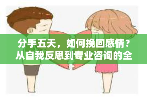 分手五天，如何挽回感情？从自我反思到专业咨询的全面解决方案