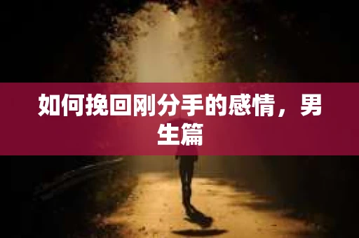如何挽回刚分手的感情，男生篇