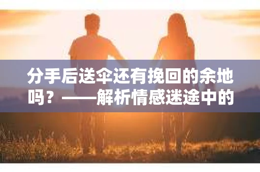 分手后送伞还有挽回的余地吗？——解析情感迷途中的决策
