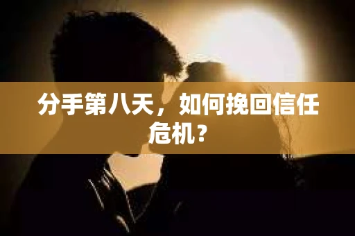 分手第八天，如何挽回信任危机？