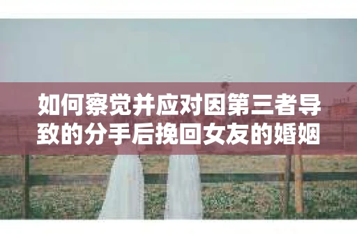 如何察觉并应对因第三者导致的分手后挽回女友的婚姻危机信号？