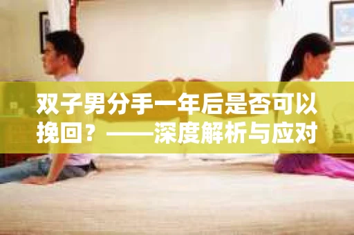 双子男分手一年后是否可以挽回？——深度解析与应对策略
